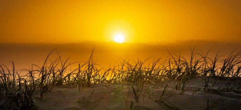 Hoera! Het wordt weer langer licht