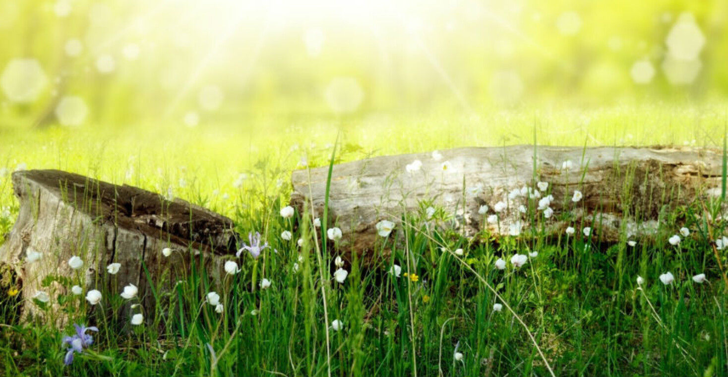 Hét gesprek van mijn leven - Zin.nl