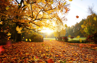Instagrammers showen prachtige plaatjes van de herfst