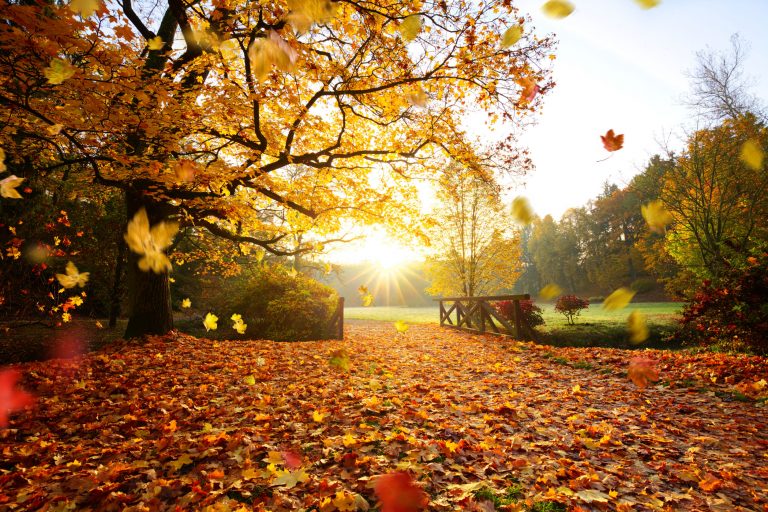 Instagrammers showen prachtige plaatjes van de herfst