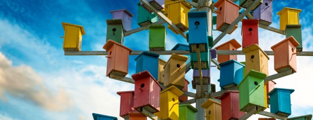 Meer vogels in de tuin? Regel nu al een nestkast!