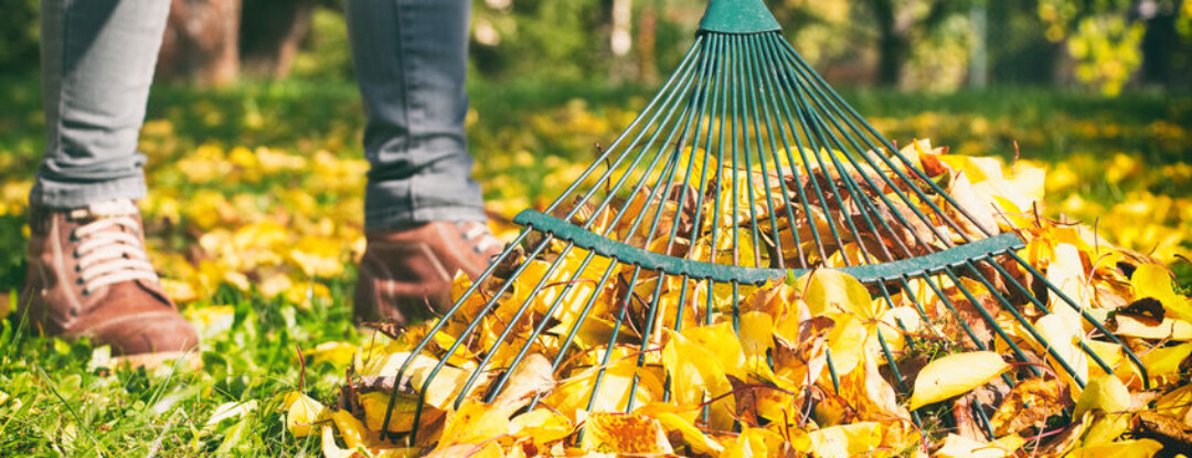 Is jouw tuin al winterklaar?