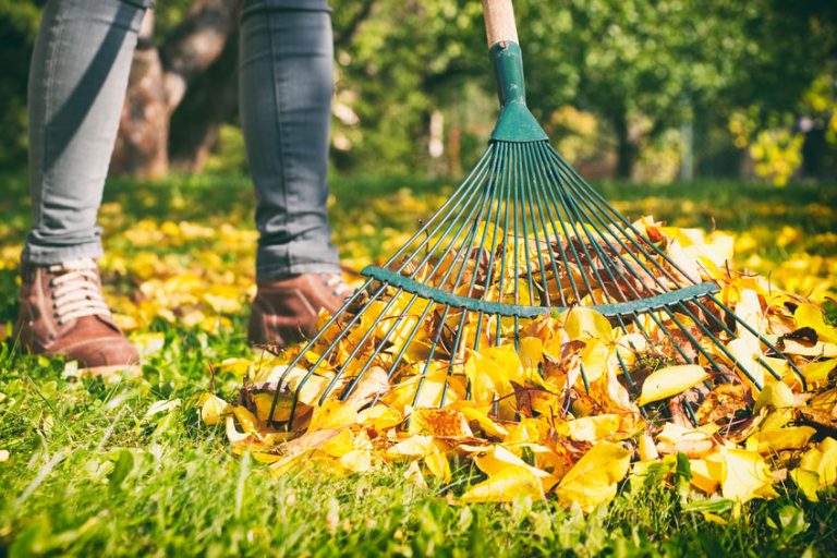 Is jouw tuin al winterklaar?