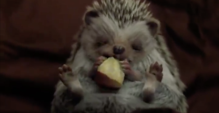Superschattige ‘Freddie’ is dé Kerstcommercial van het jaar