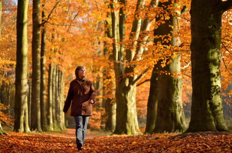 Wandeling: De woeste grond van Overijssel