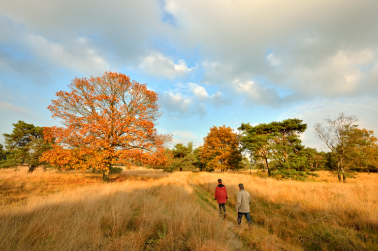 Wandelroute: Alleen op de wereld