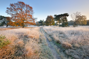 wandeling