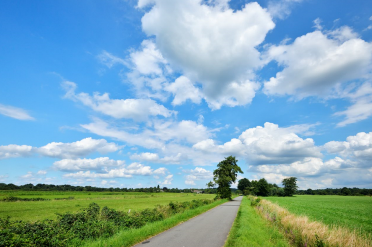 Wandelroute: Het domein van de das