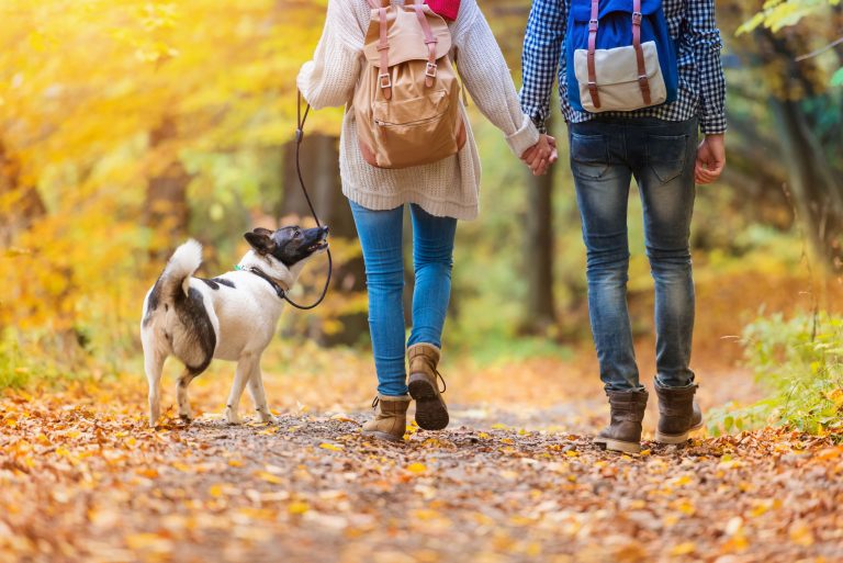 Wandelen is de haast uit je hoofd halen