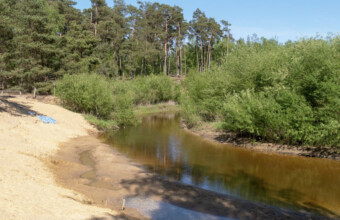 Tips voor een weekendje weg in Noordoost-Twente