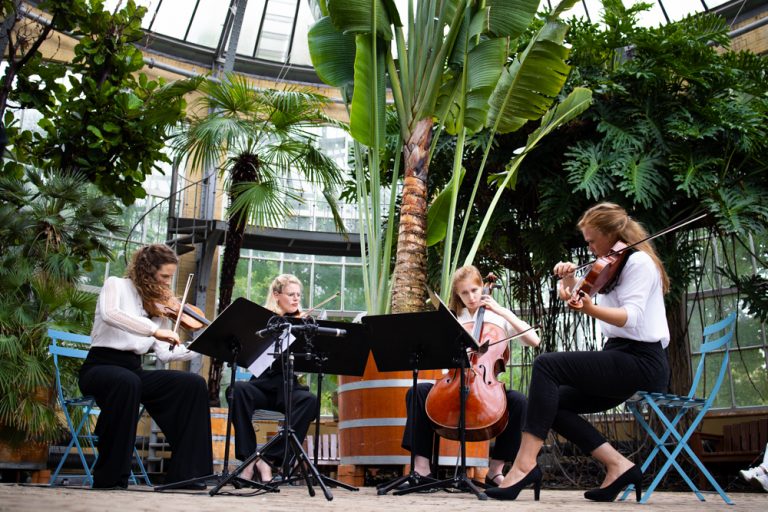 Verwonderen op het Grachtenfestival 2020