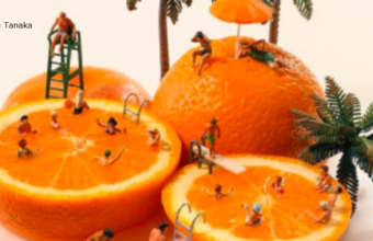 Deze miniatuurkunstwerken moet je zien