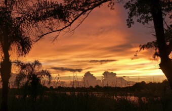 Nergens is de lucht zo rood…