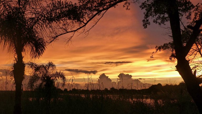 Nergens is de lucht zo rood…