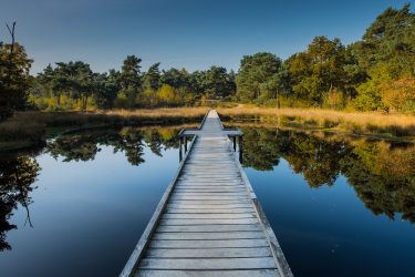 Wandelen