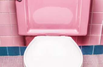 Wereld Toilet Dag: een ode aan de pot