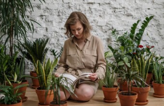 9 x binnenkijken bij plantenminners