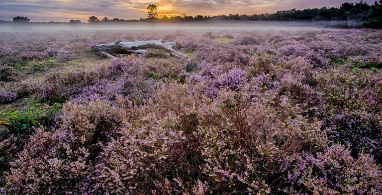 Ga mee oerwandelen in Drenthe