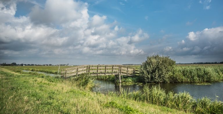 We glibberen en glijden door eindeloze weilanden