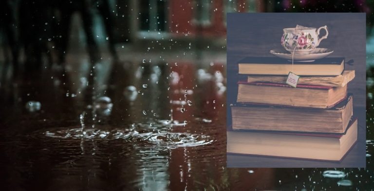 Regen? Duik met deze boeken lekker weg in een grote stoel