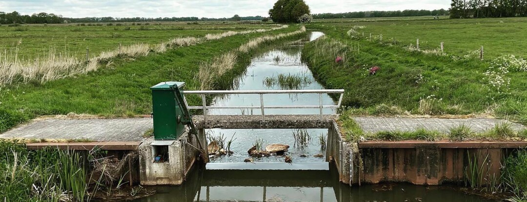 Het Andersche Diep is een onverwachte wildernis, helemaal verlaten