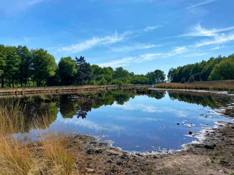 We kunnen gelukkig een loods in springen voor de hoosbui losbarst