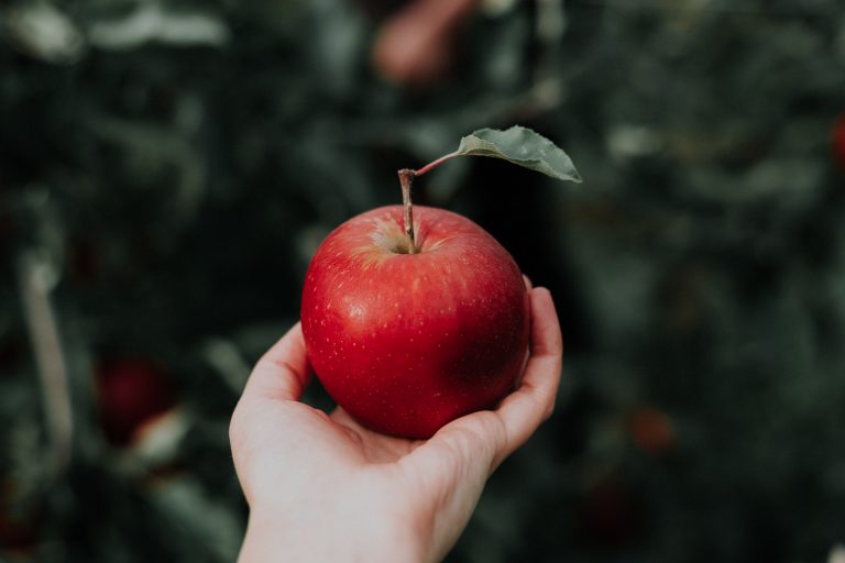 4 x knutselen met appels op ‘Eet een appel dag’