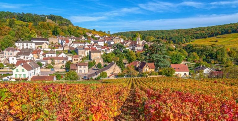 De herfst vier je in de Bourgogne