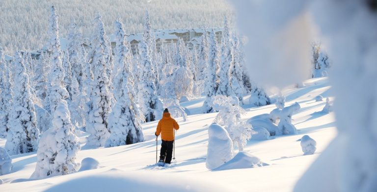 Geniet van de rust en ruimte in Fins Lapland in de winter