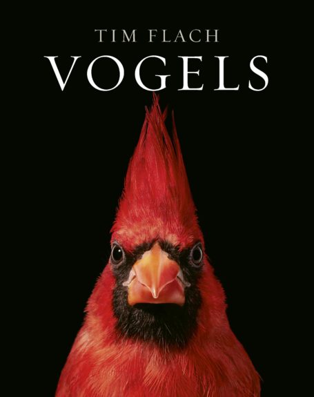 Vogels