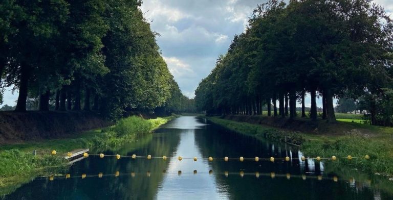 Het filelopen is niet zo rustgevend als wandelen normaal is