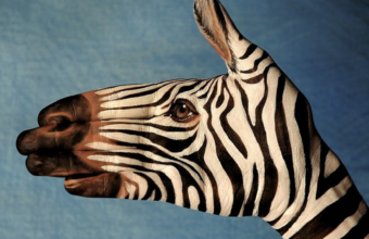 Guido Daniele en het betere handwerk