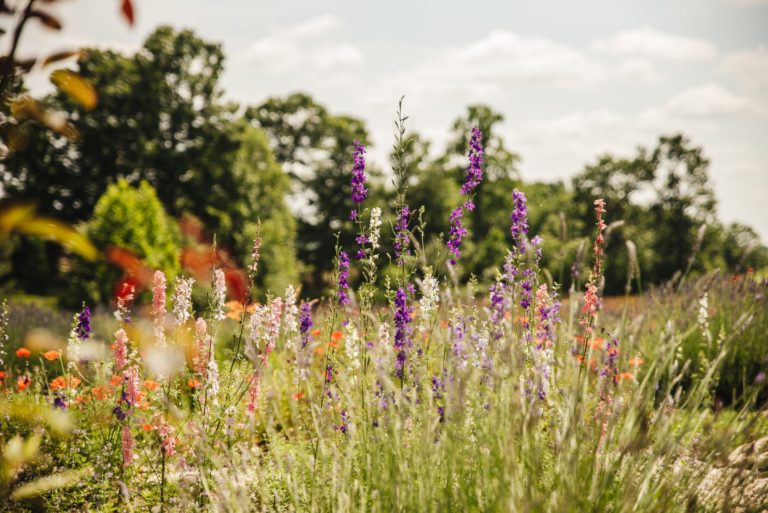 5 x nostalgische zomerplaylists voor bij de bbq