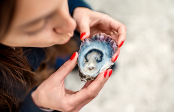 Oesters: de parels van de zee