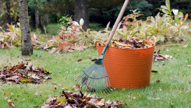 Maak je tuin winterklaar – 11 tips