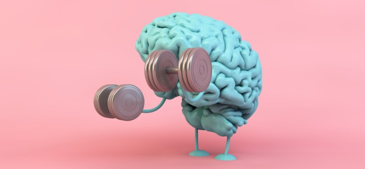 Dit zijn de oplossingen van de puzzels