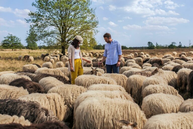 De kop van Drenthe