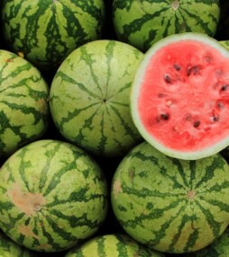 Watermeloen: vierkant lekker?