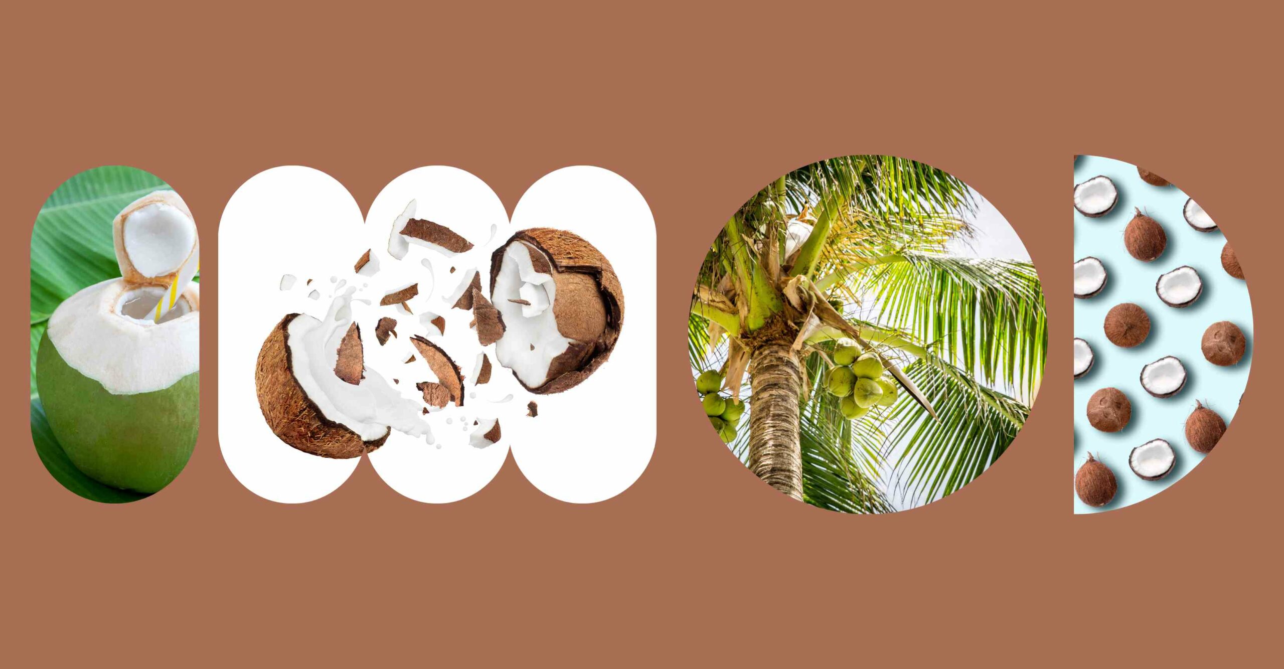 Выбирайте кокос — Zin.nl