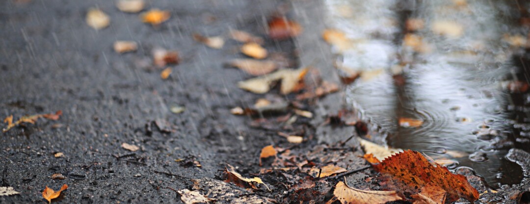 Skip de herfstdip