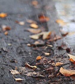 Skip de herfstdip