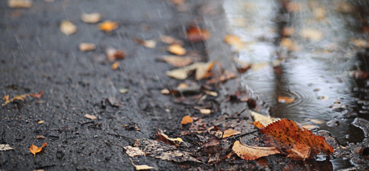 Skip de herfstdip
