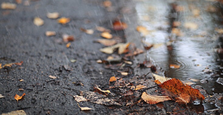 Skip de herfstdip
