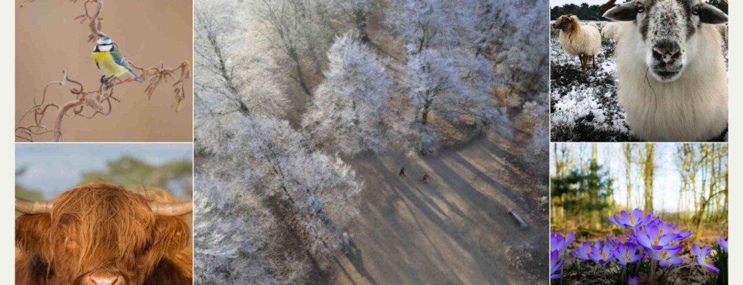 Eropuit in de winter