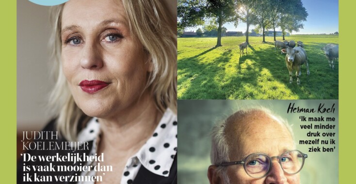 Zin magazine editie 4/5 – 2025