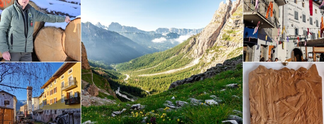 Vijftig tinten groen in Trentino
