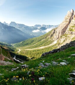 Vijftig tinten groen in Trentino