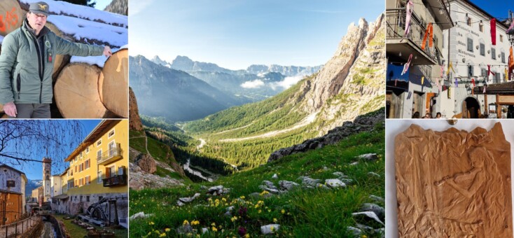 Vijftig tinten groen in Trentino