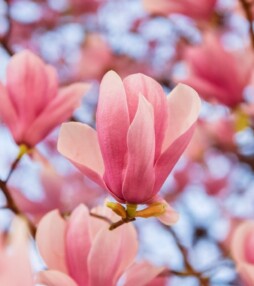 Mia: 11 maanden zonder hem