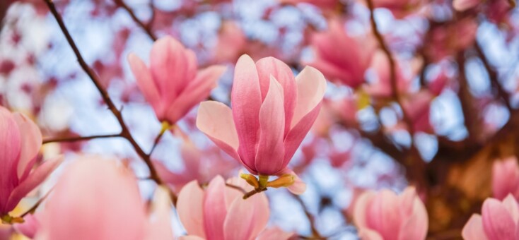 Mia: 11 maanden zonder hem
